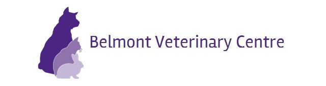 Belmont VIC Vets Adelaide