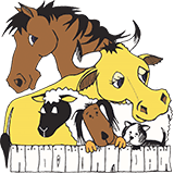 Stawell Veterinary Clinic - Vets Adelaide