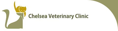 Chelsea Veterinary Clinic - Vets Adelaide 0