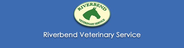 Willurah NSW Vets Adelaide