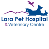  Vets Adelaide