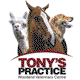 Cadello VIC Vets Adelaide