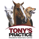 Tony's Practice Woodend - Vets Adelaide