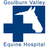 Goulburn Valley Equine Hospital - Vets Adelaide