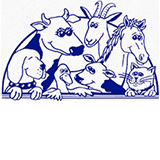 Book Mount Schank Accommodation Vacations Vets Adelaide Vets Adelaide