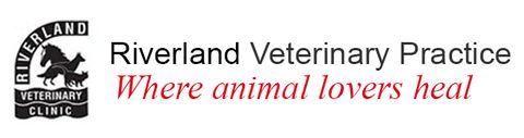 Riverland Veterinary Practice - Vets Adelaide 0