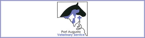 Port Augusta Veterinary Services - Vets Adelaide 0