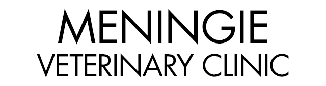 Meningie Veterinary Clinic - Vets Adelaide