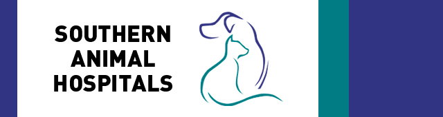 Morphett Vale SA Vets Adelaide