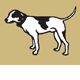 Motter Catherine - Vets Adelaide