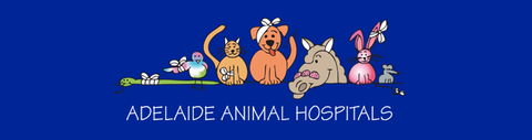 Adelaide Animal Hospital - Vets Adelaide 0