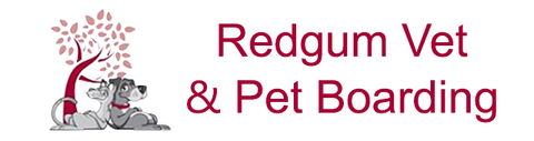 Redgum Vet & Pet Boarding - Vets Adelaide 0