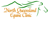 Kamma QLD Vets Adelaide