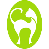 Tropical Queensland cat clinic