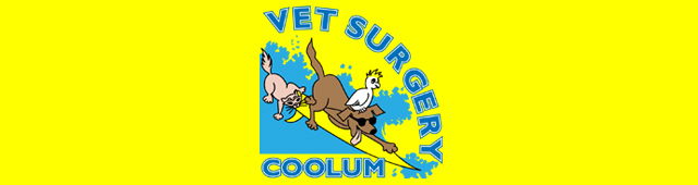 Yaroomba QLD Vets Adelaide