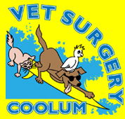 Coolum Veterinary Surgery - Vets Adelaide