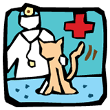 North Buderim QLD Vets Adelaide