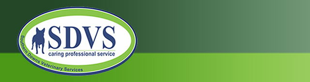 Book Stanthorpe Accommodation Vacations Vets Adelaide Vets Adelaide