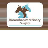 Kingaroy Dc QLD Vets Adelaide