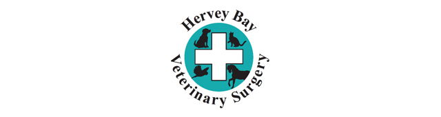 Kawungan QLD Vets Adelaide