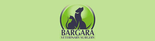 Kalkie QLD Vets Adelaide