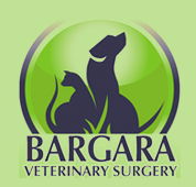 Bargara Veterinary Surgery - Vets Adelaide
