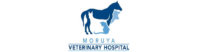 Deua River Valley NSW Vets Adelaide