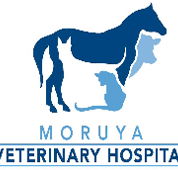 Moruya Veterinary Hospital - Vets Adelaide
