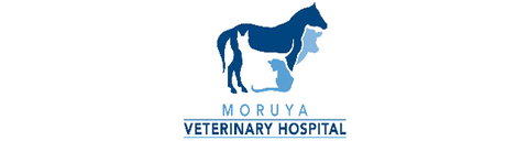 Moruya Veterinary Hospital - Vets Adelaide 0