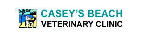 Casey's Beach Veterinary Clinic - Vets Adelaide 0