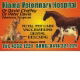 Kiama Downs NSW Vets Adelaide