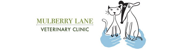 Kangaroobie NSW Vets Adelaide