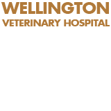 Wellington Veterinary Hospital - Vets Adelaide 0