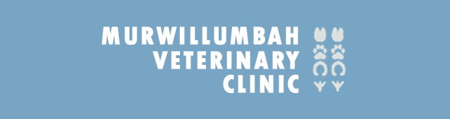 Doon Doon NSW Vets Adelaide