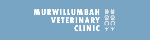 Murwillumbah Veterinary Clinic - Vets Adelaide 0