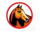 Equine Veterinary And Dental Services - Vets Adelaide