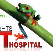Erina Heights Veterinary Hospital - Vets Adelaide