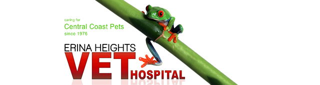 Book Wamberal Accommodation Vacations Vets Adelaide Vets Adelaide