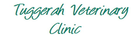 Tuggerah Veterinary Clinic - Vets Adelaide 0
