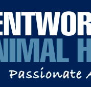 Wentworth Falls Animal Hospital - Vets Adelaide