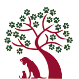 Selwood House Veterinary Hospital - Vets Adelaide