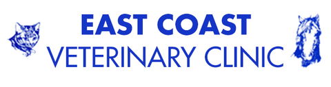 East Coast Veterinary Clinic - Vets Adelaide 0
