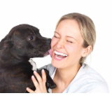 Woodvale Park Veterinary Hospital - Woodvale Vet - Vets Adelaide 0