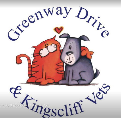 Kingscliff Veterinary Hospital - Vets Adelaide 3