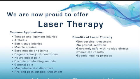 Kingscliff Veterinary Hospital - Vets Adelaide 5