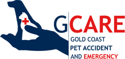 AEC Animal Emergency Centre - Vets Adelaide 0