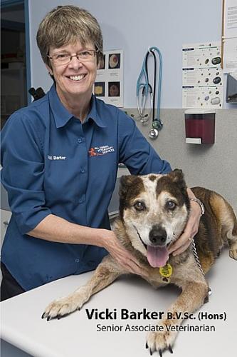 All Animal Veterinary Services Pty Ltd - Vets Adelaide 3