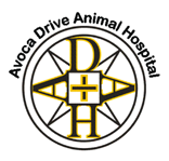 Avoca Drive Animal Hospital - Vets Adelaide