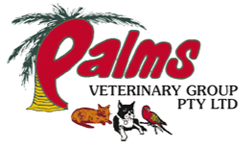 Kennedy QLD Vets Adelaide