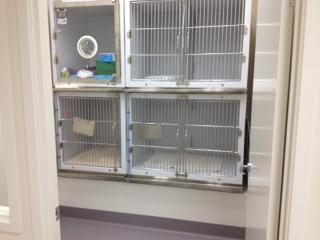 Bayview Vets - Vets Adelaide 3